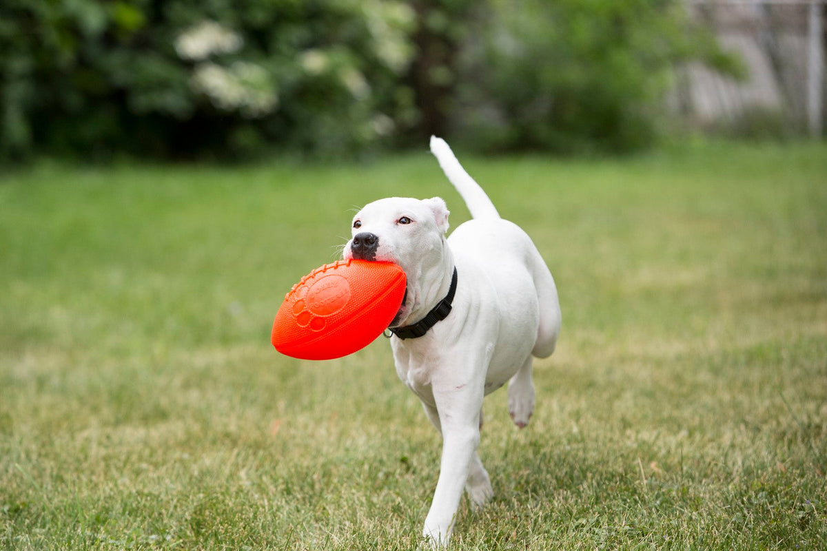 Jolly Football
