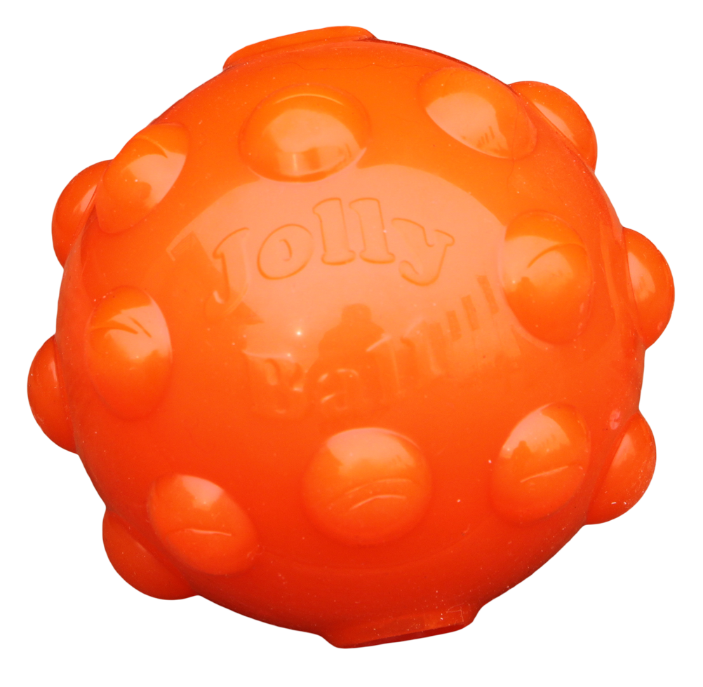 Jolly Jumper