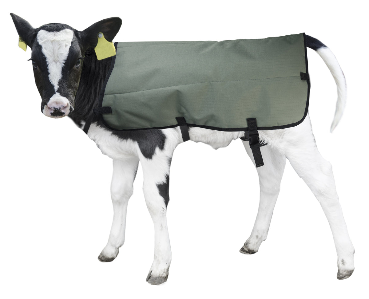 Calf Coat Kalverdek (Private Label)