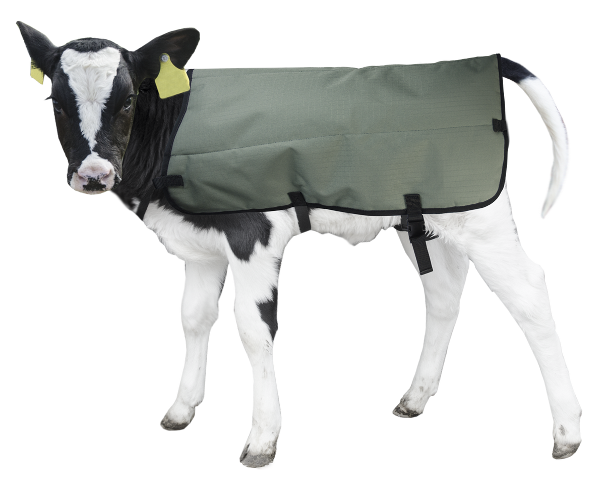 Calf Coat Kalverdek