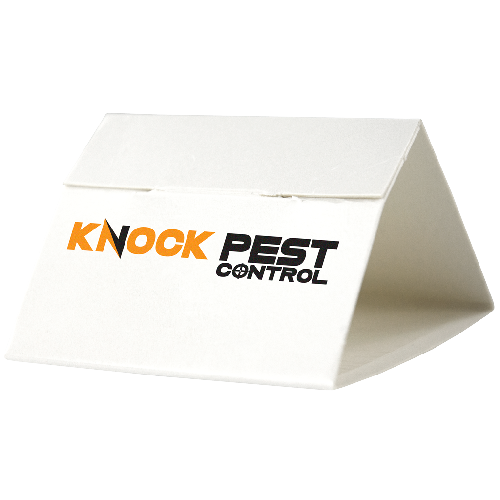 Knock Pest Zilvervisjesval Delta