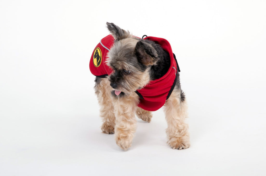 Dog Armor Knockdown Coat (Insect Shield)