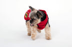 Dog Armor Knockdown Coat (Insect Shield)