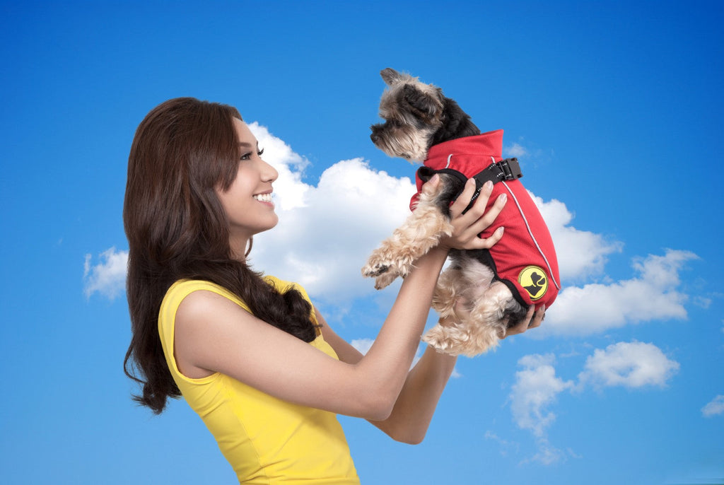 Dog Armor Knockdown Coat (Insect Shield)