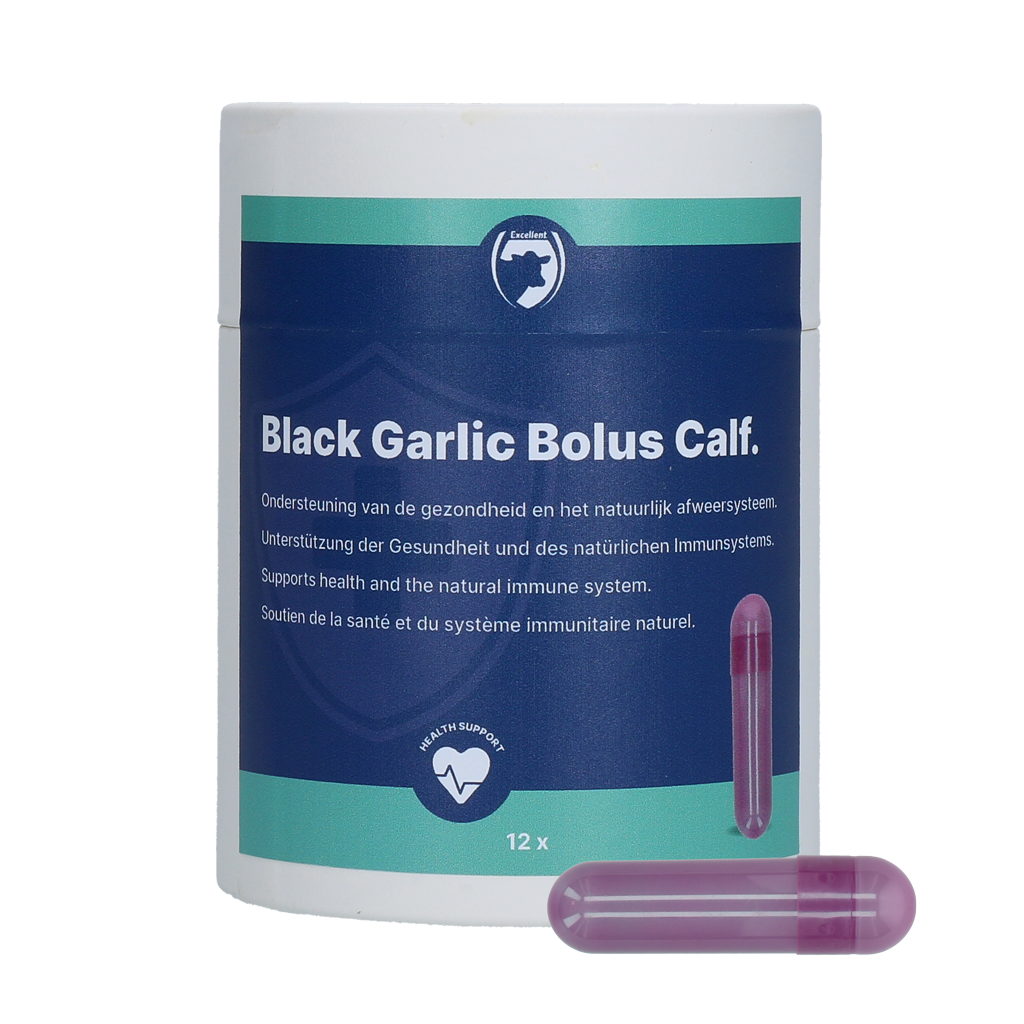 Excellent Black Garlic Bolus Kalf