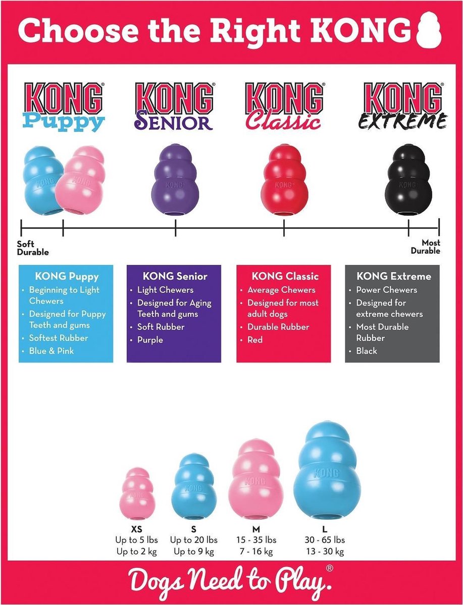 KONG Puppy Assorti
