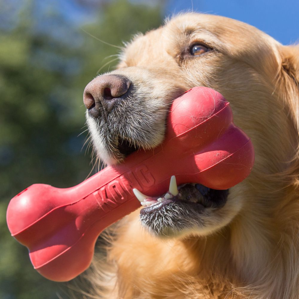KONG Goodie Bone Rood