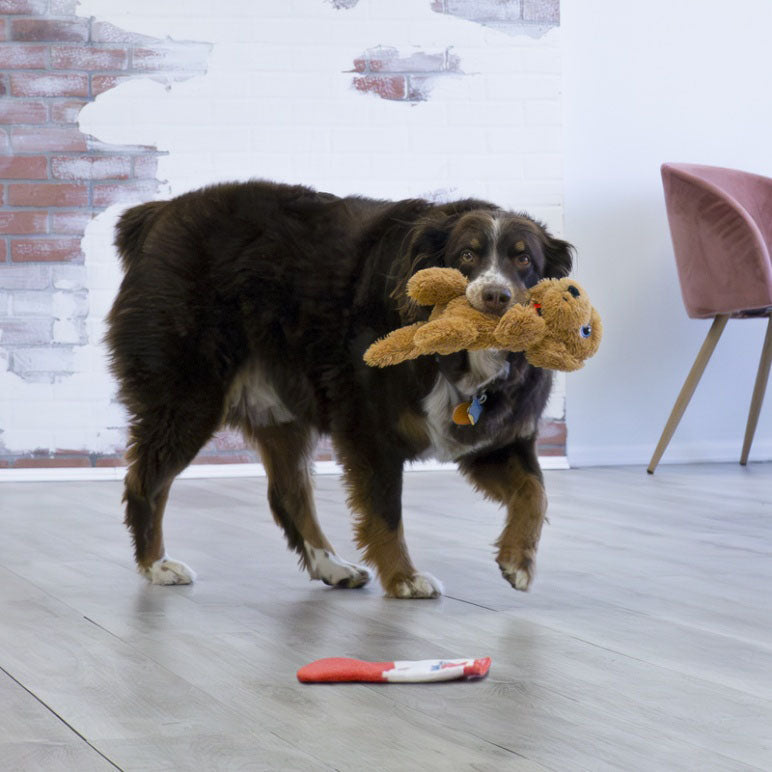 KONG ComfortPups Toonbankdisplay