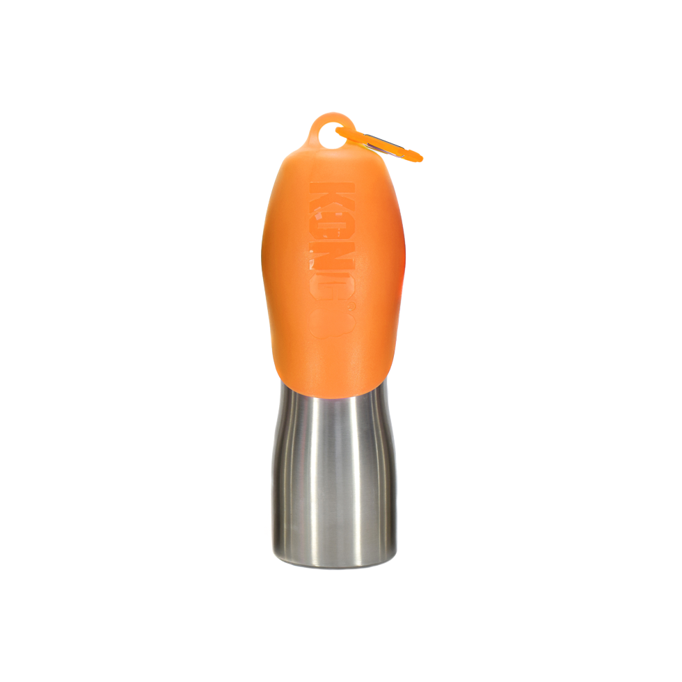 KONG H2O RVS Waterfles