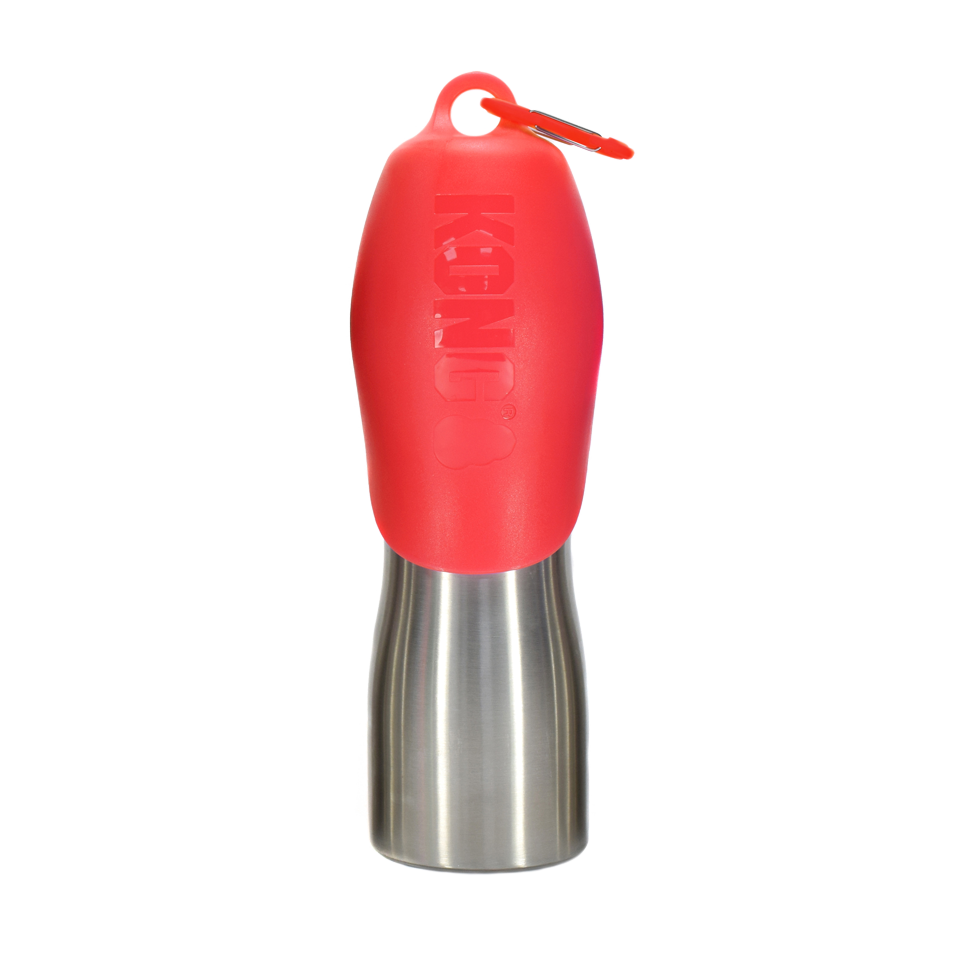 KONG H2O RVS Waterfles