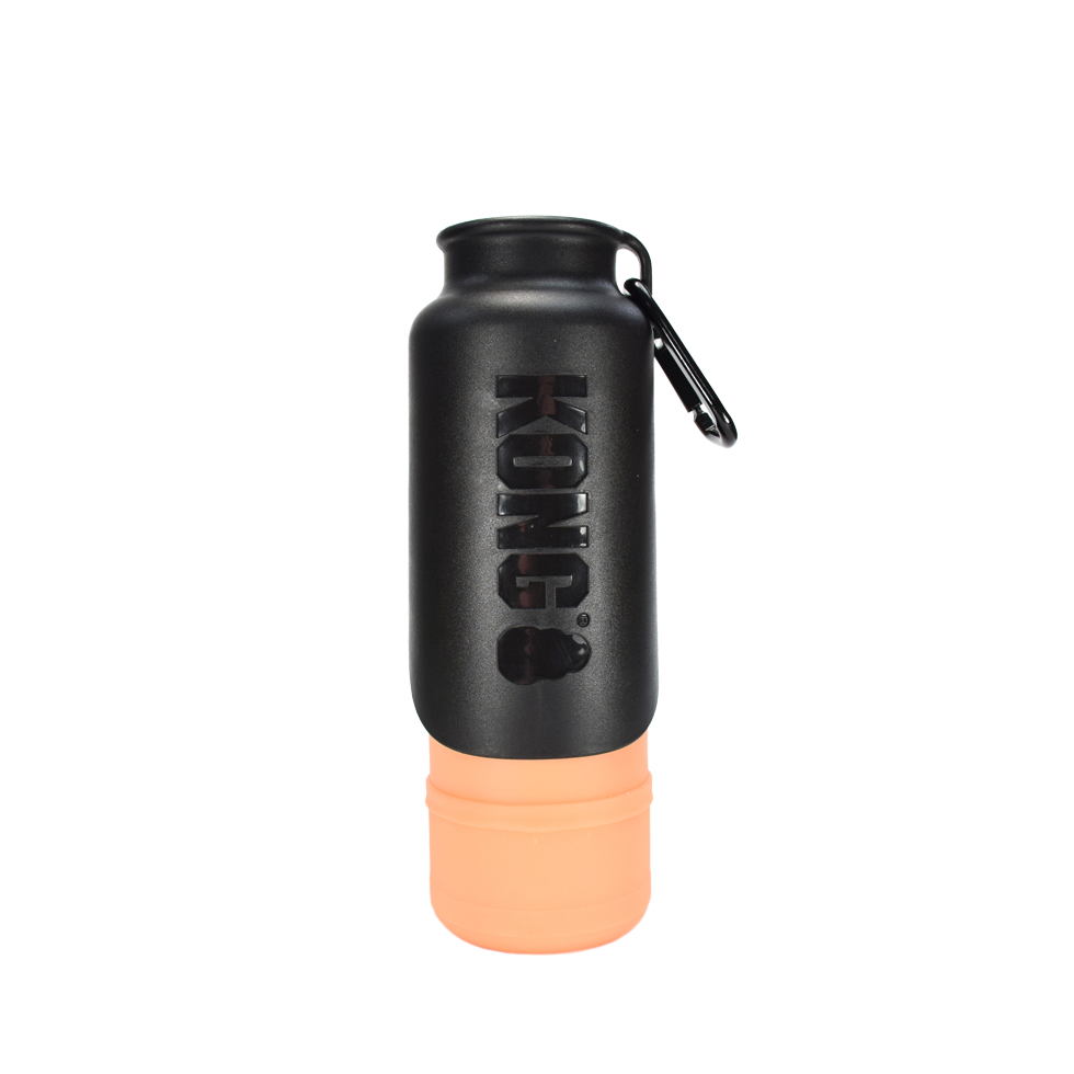 KONG H2O Geïsoleerde waterfles