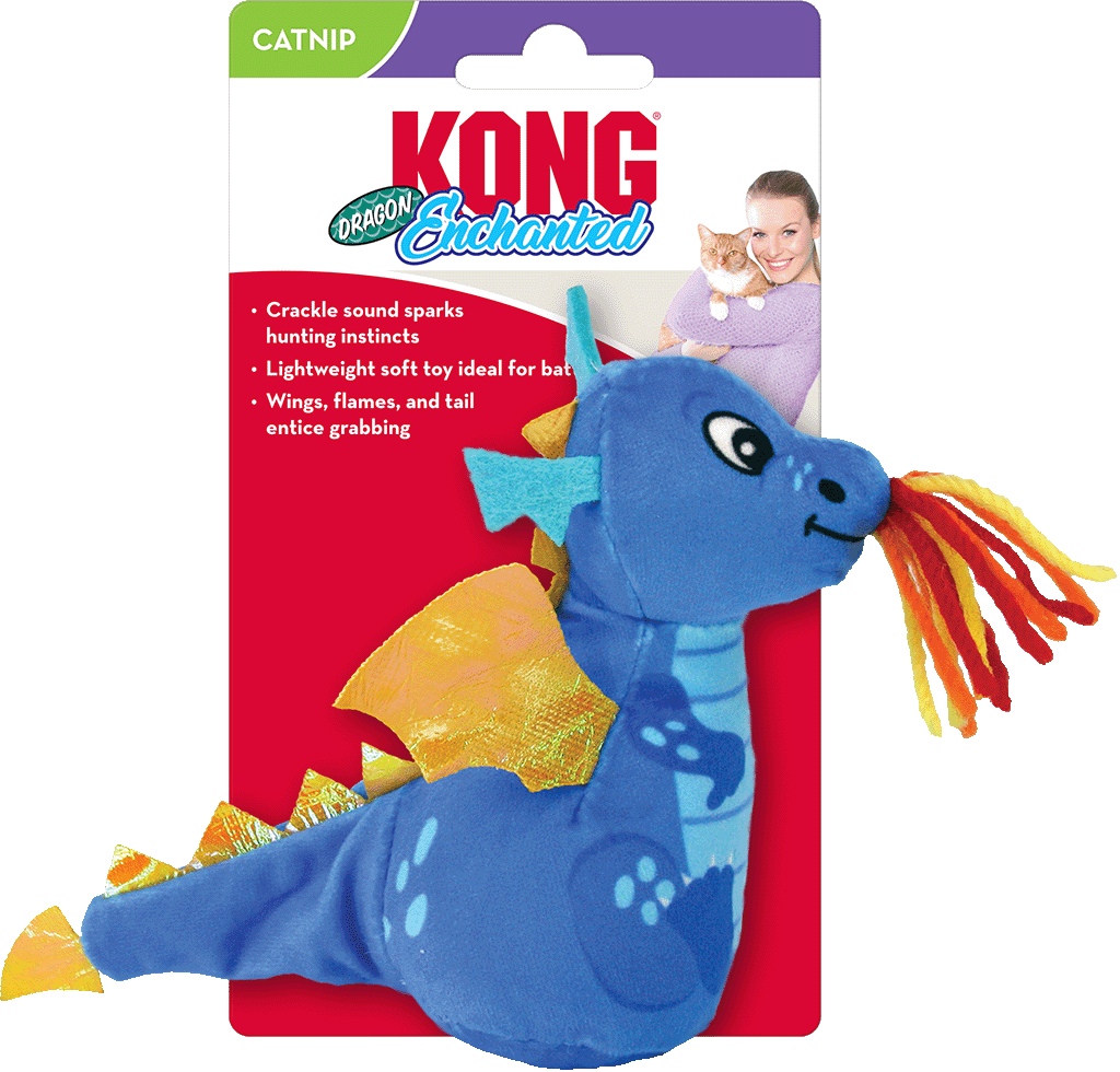 KONG Enchanted Dragon