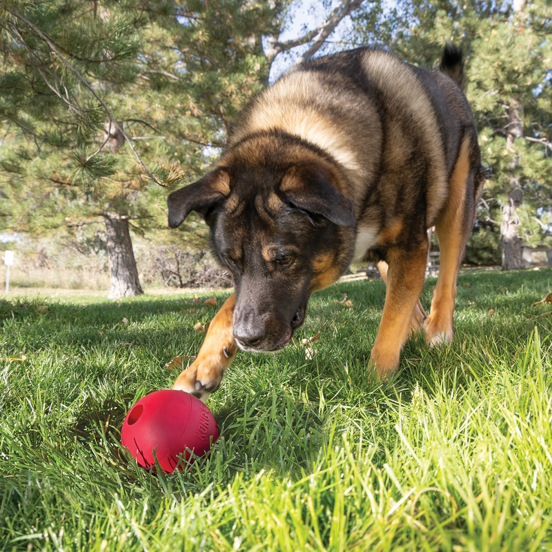 KONG Extreme Ball Met Gat