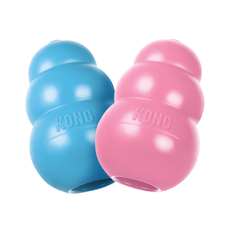 KONG Puppy Assorti