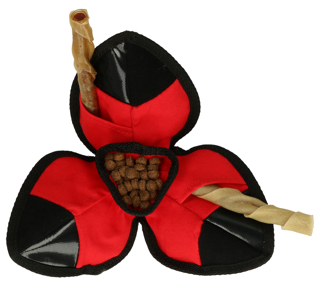 KONG Ballistic Hide 'n Treat Assorti