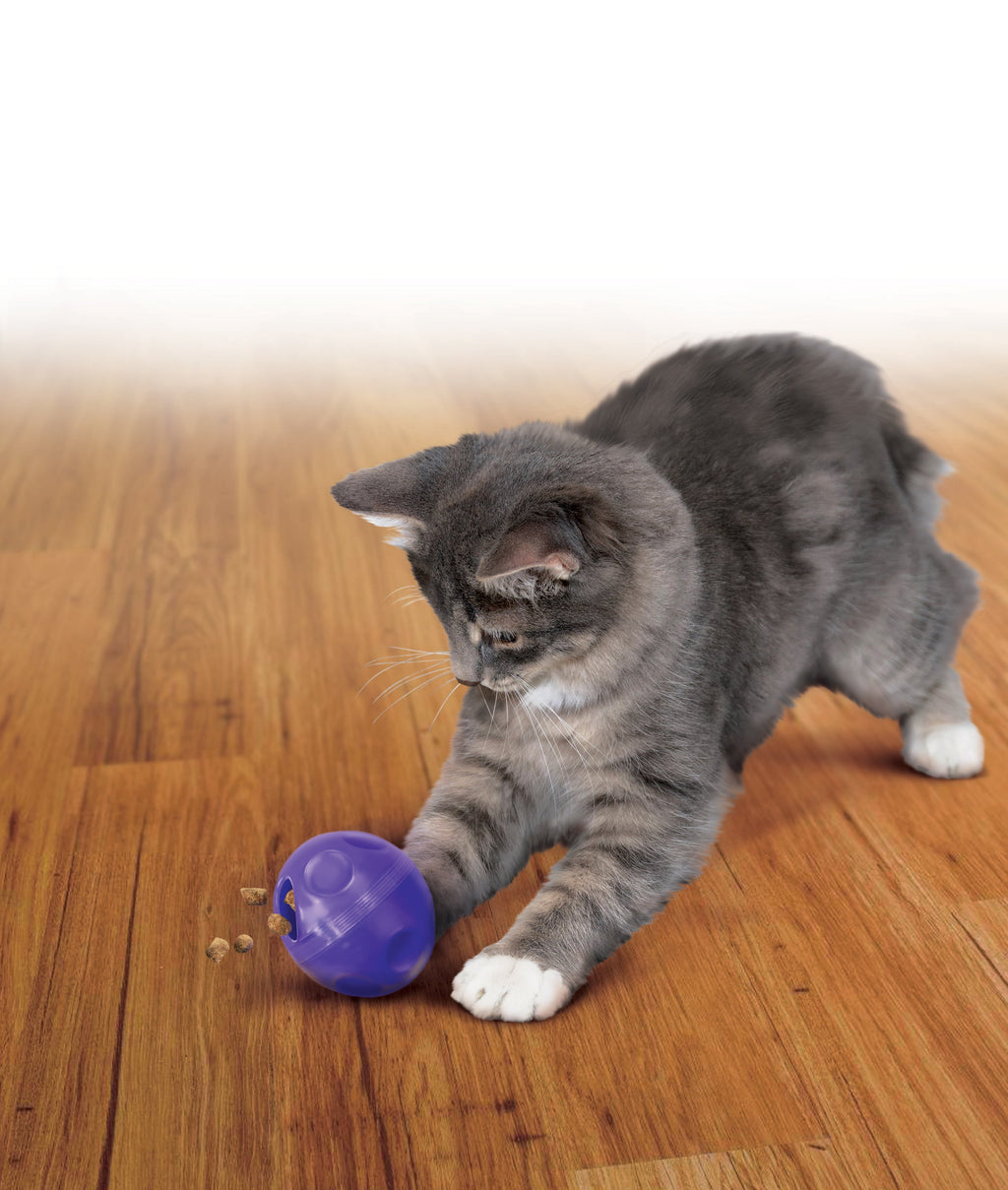 KONG Cat Treat Dispensing Ball
