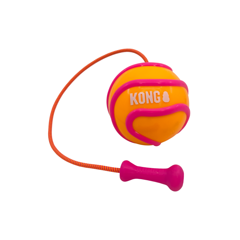 KONG Bunji High-Viz Ball Assorted
