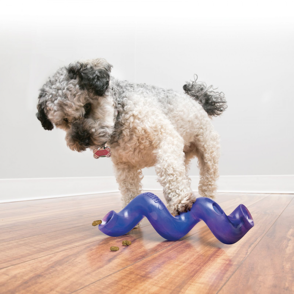 KONG Treat Spiral Stick Assorti