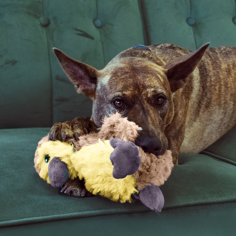 KONG Comfort Tykes Plush Toy