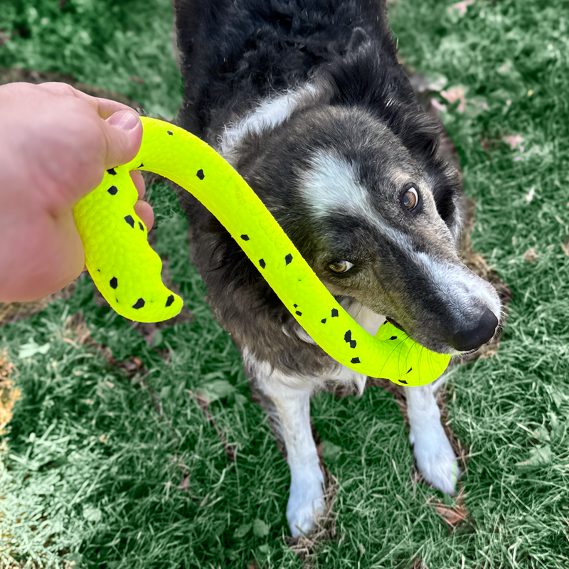 KONG Reflex Tug 'n Fetch Standaard