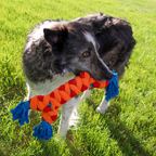 KONG Rope Rally Bone