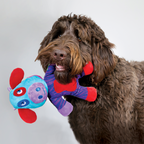 KONG Switcheroos Assorti