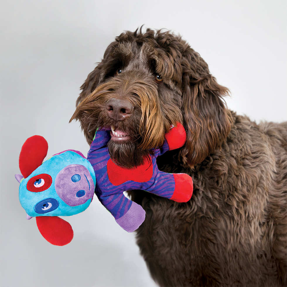 KONG Switcheroos Assorti