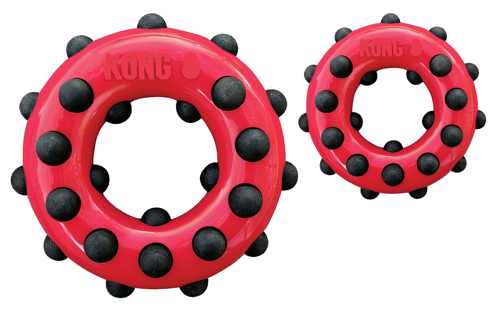 KONG Dotz Circle