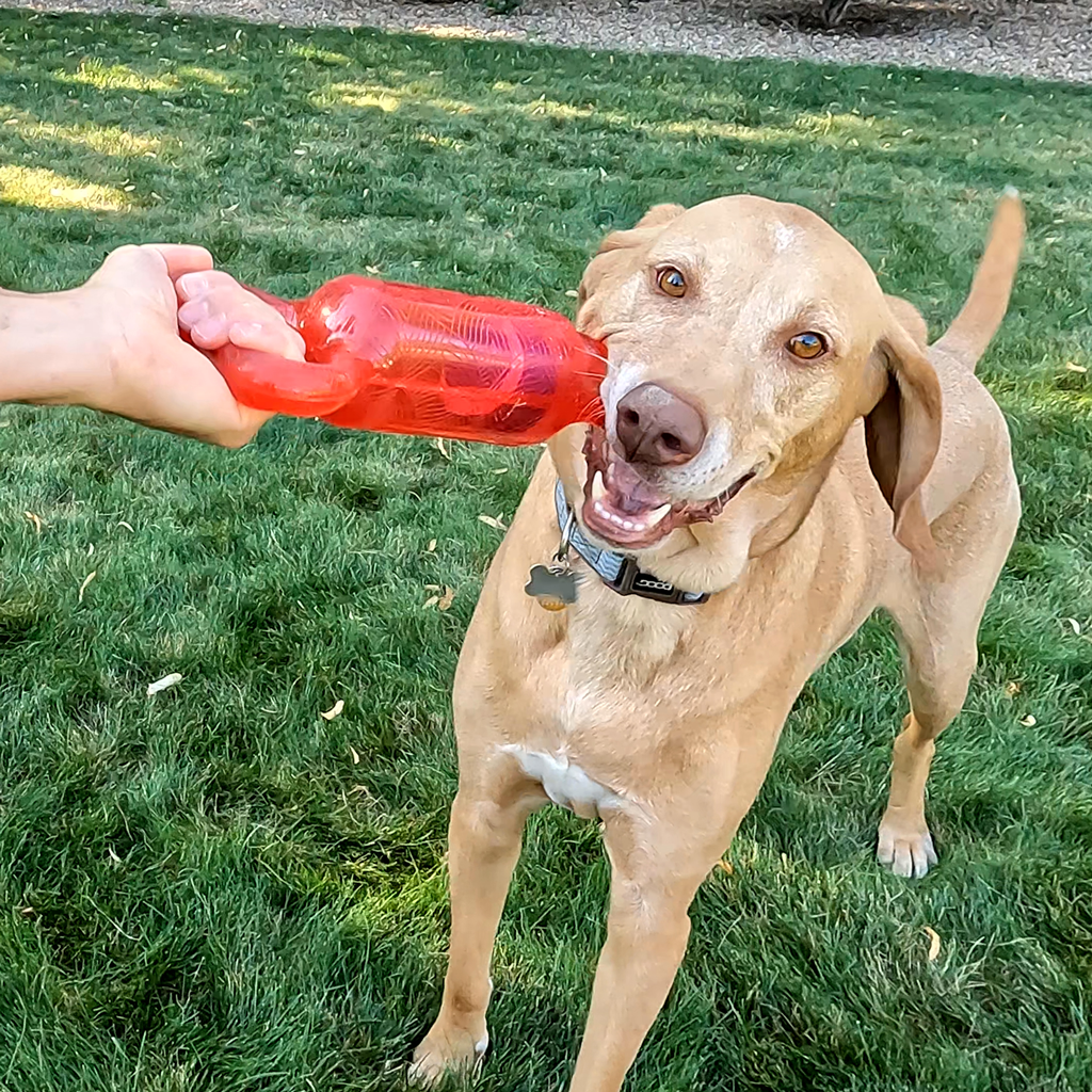 KONG Jumbler Tug Assorti