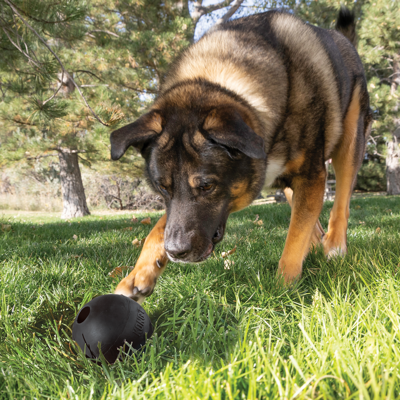 KONG Extreme Ball Met Gat