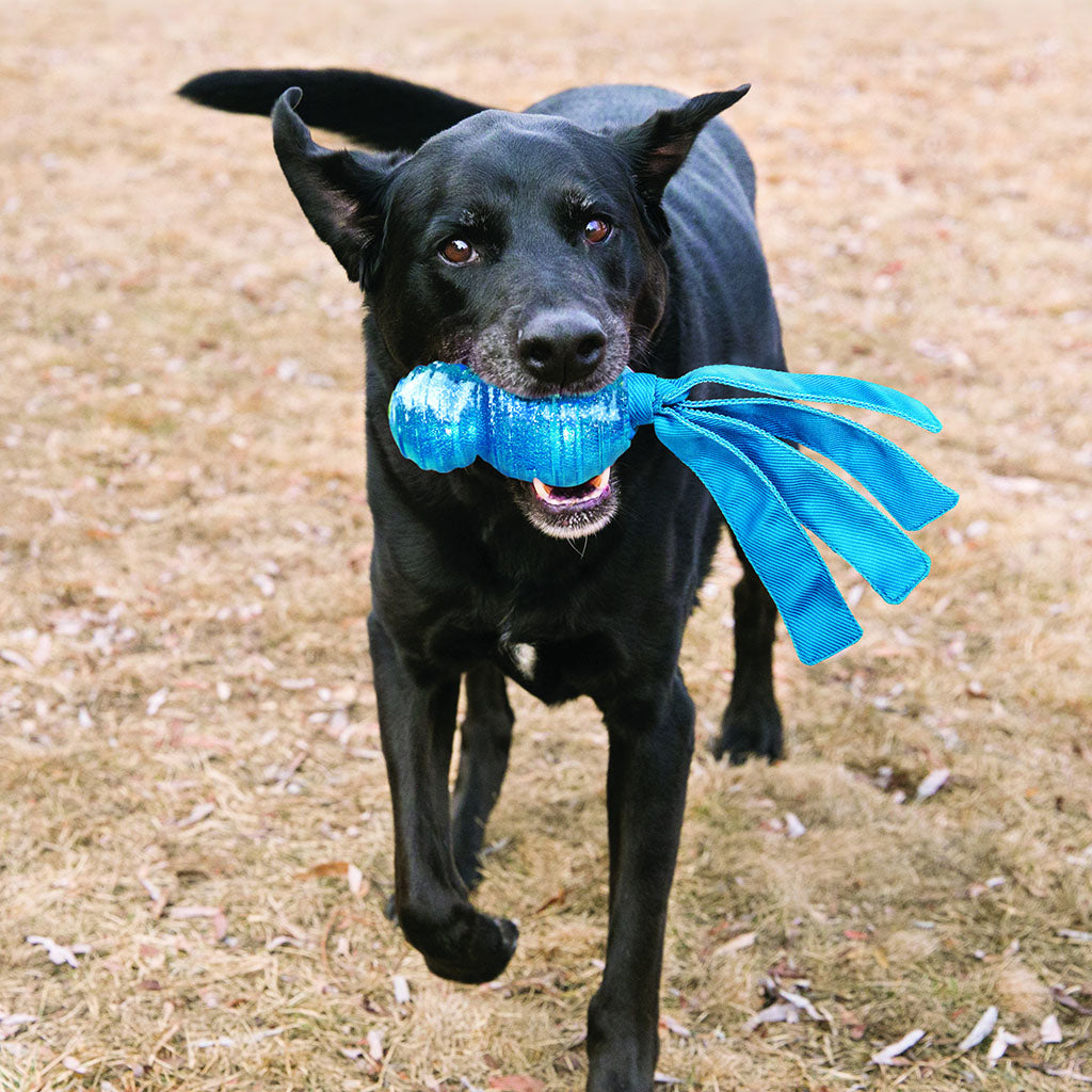 KONG Wubba Comet Assorti