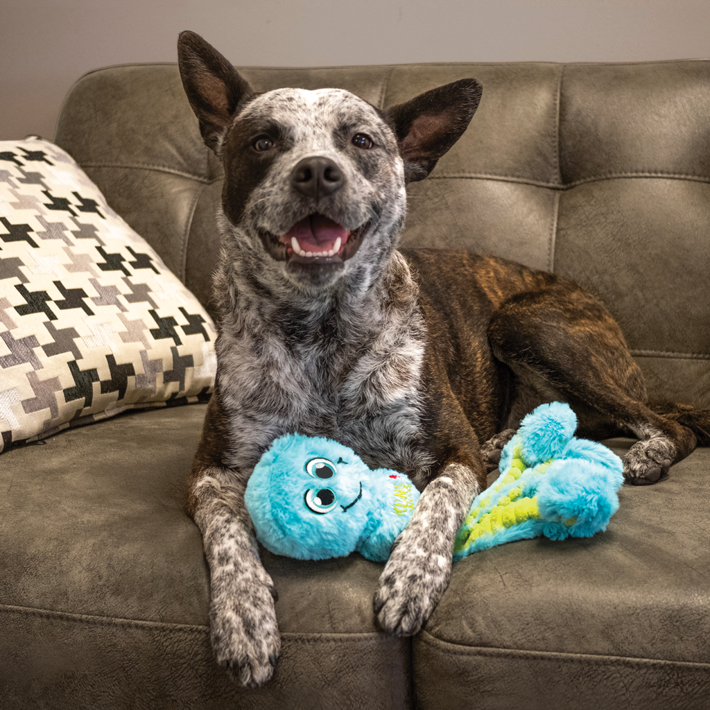 KONG Wubba Octopus Assorti