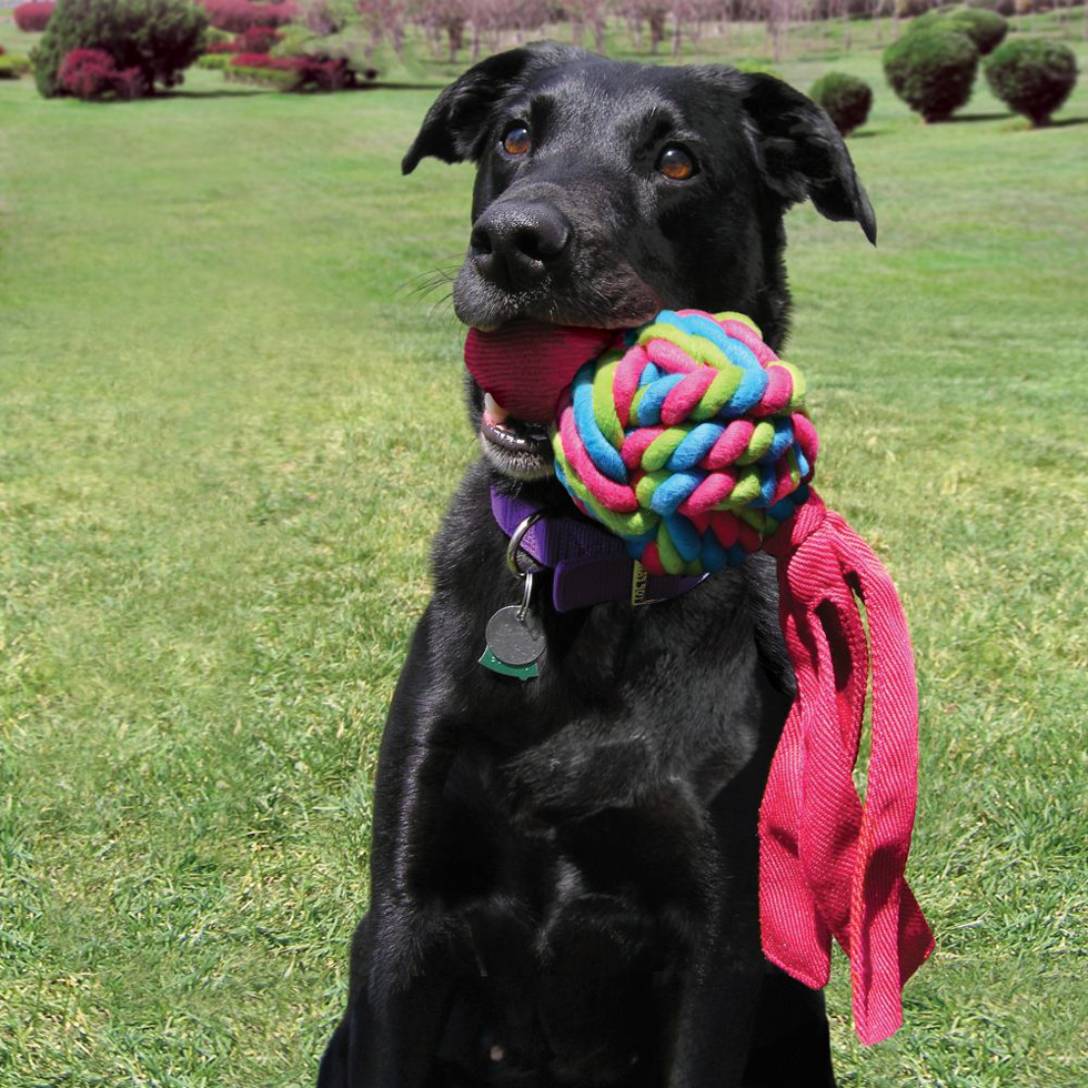 KONG Wubba Weaves Assorti L