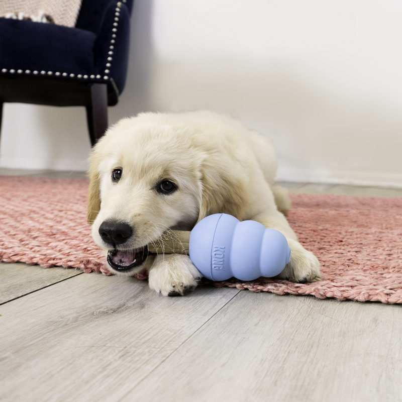 KONG Enhanced Ziggies Puppy
