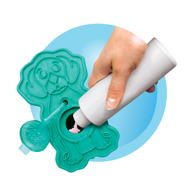 KONG ZoomGroom Turquoise L Standard