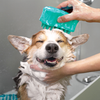 KONG ZoomGroom Türkis L Standard