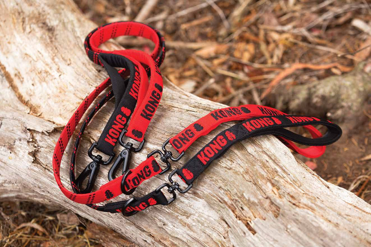 KONG Zero-Shock Leash
