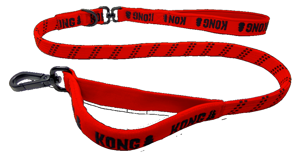 KONG Zero-Shock Leash