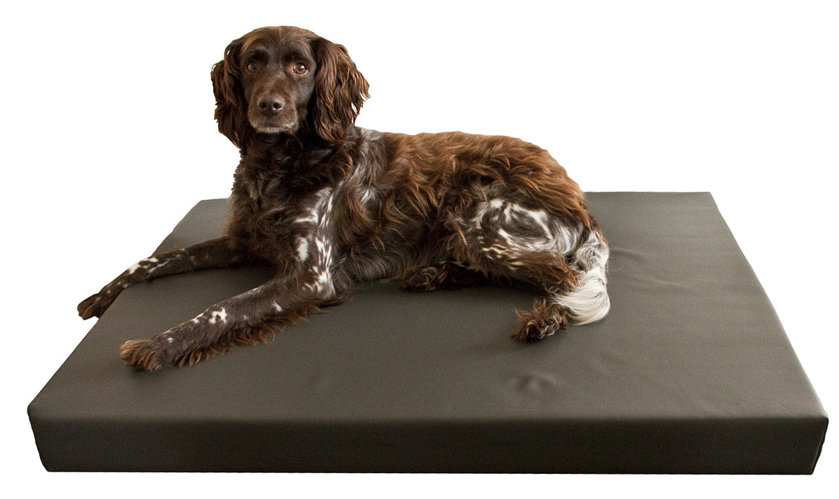 HD Dog Bed