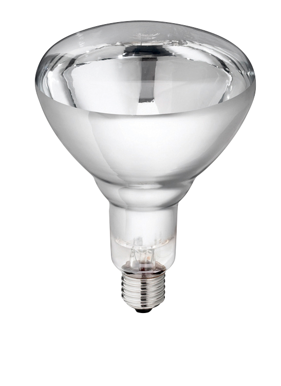 Hard Glas Lamp