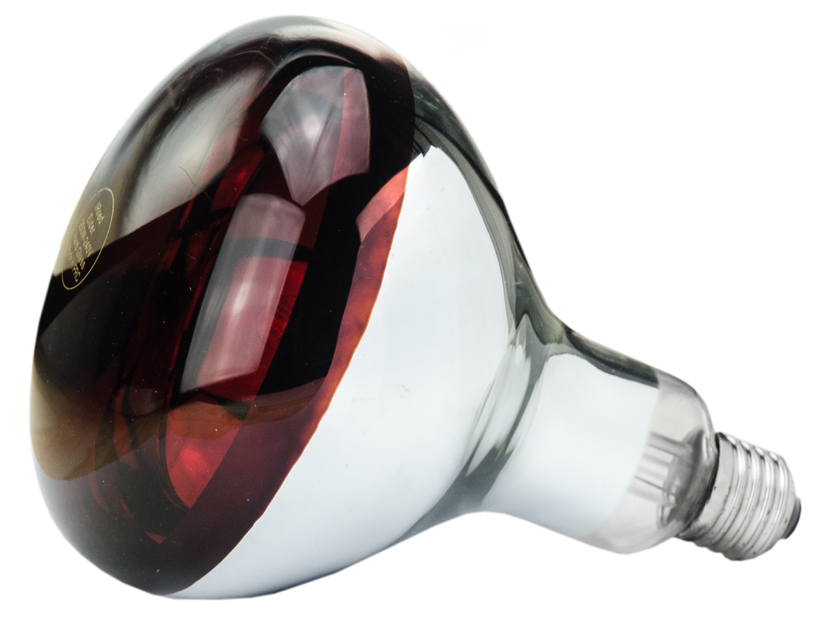 Hard Glas Lamp
