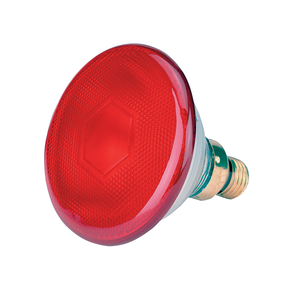 Spaarlamp