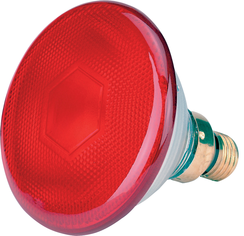 Spaarlamp
