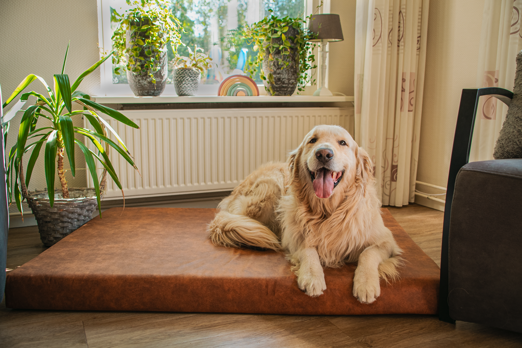 Let's Sleep Mellow Mattress Orthopedisch Kussen