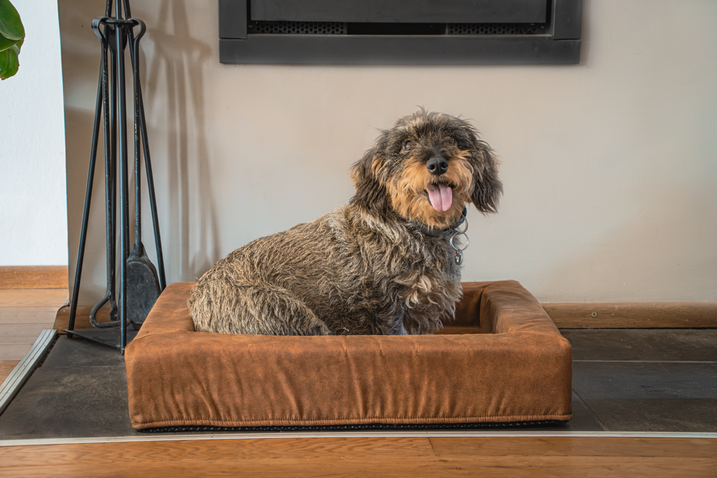 Let's Sleep Comfy Cushion Hondenmand