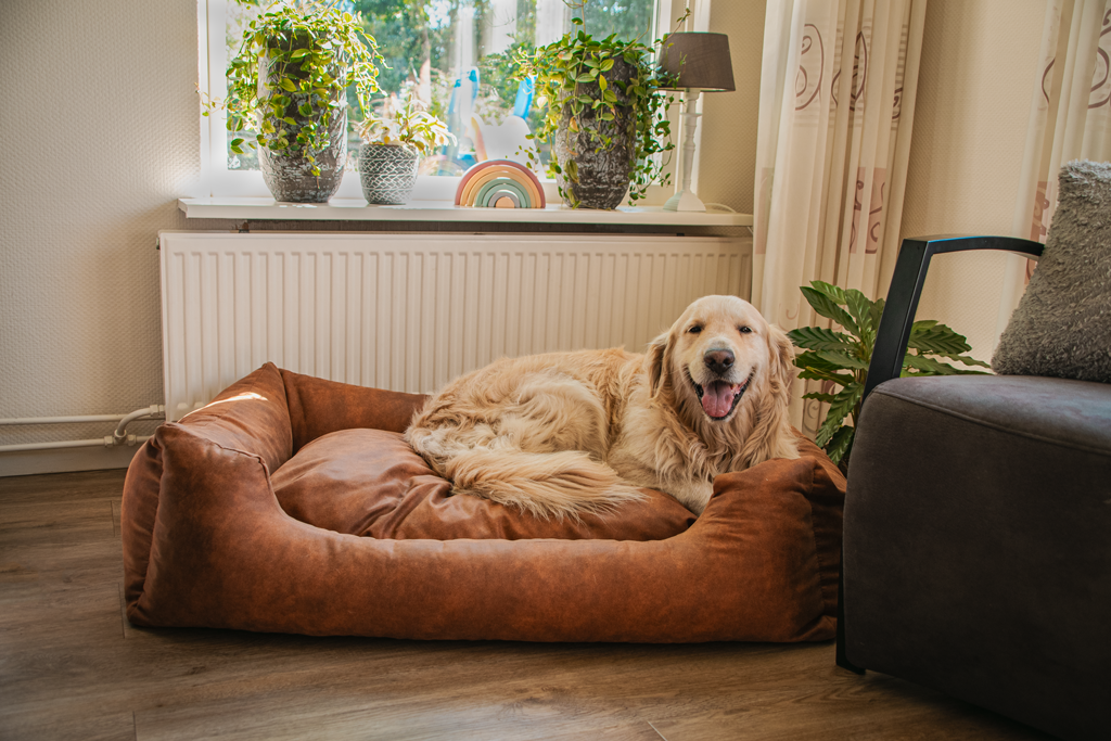 Let's Sleep Sweet Dreams Hundekorb Mit Kissen