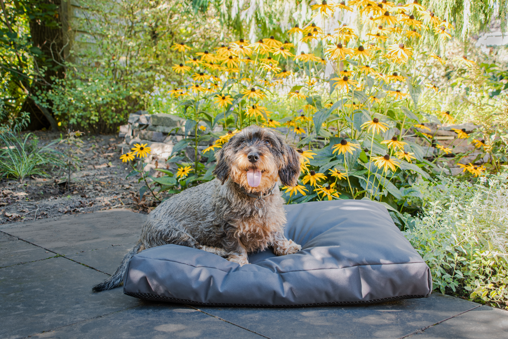Let's Sleep Cushy Cloud Hondenkussen Buiten