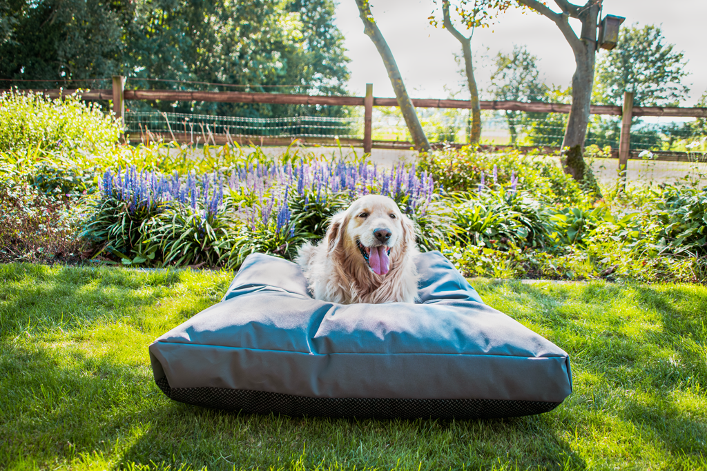 Let's Sleep Cushy Cloud Hondenkussen Buiten