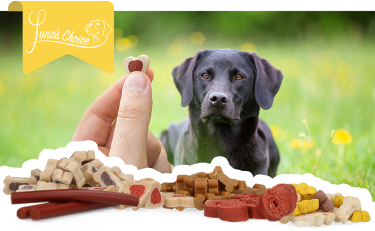 Luna's Choice Trainer Mix Tasty Mix Standaard