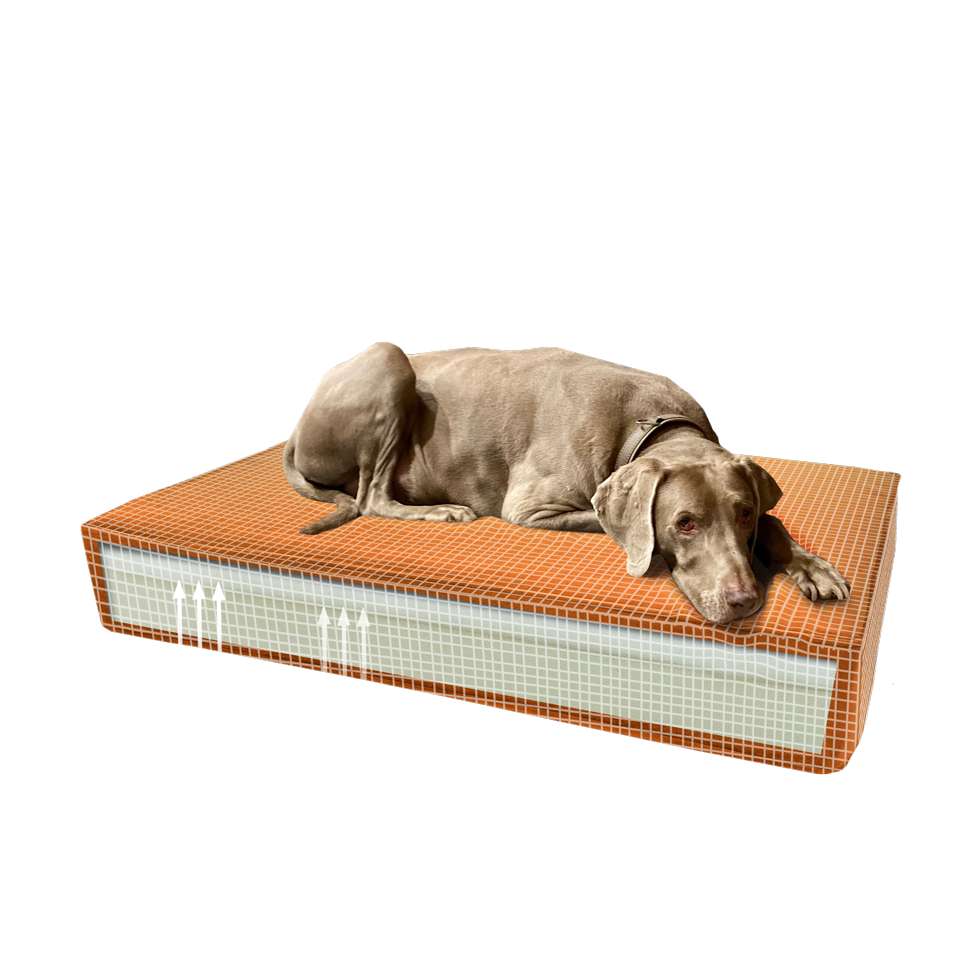 Madison Orthopedisch Kussen Velvet